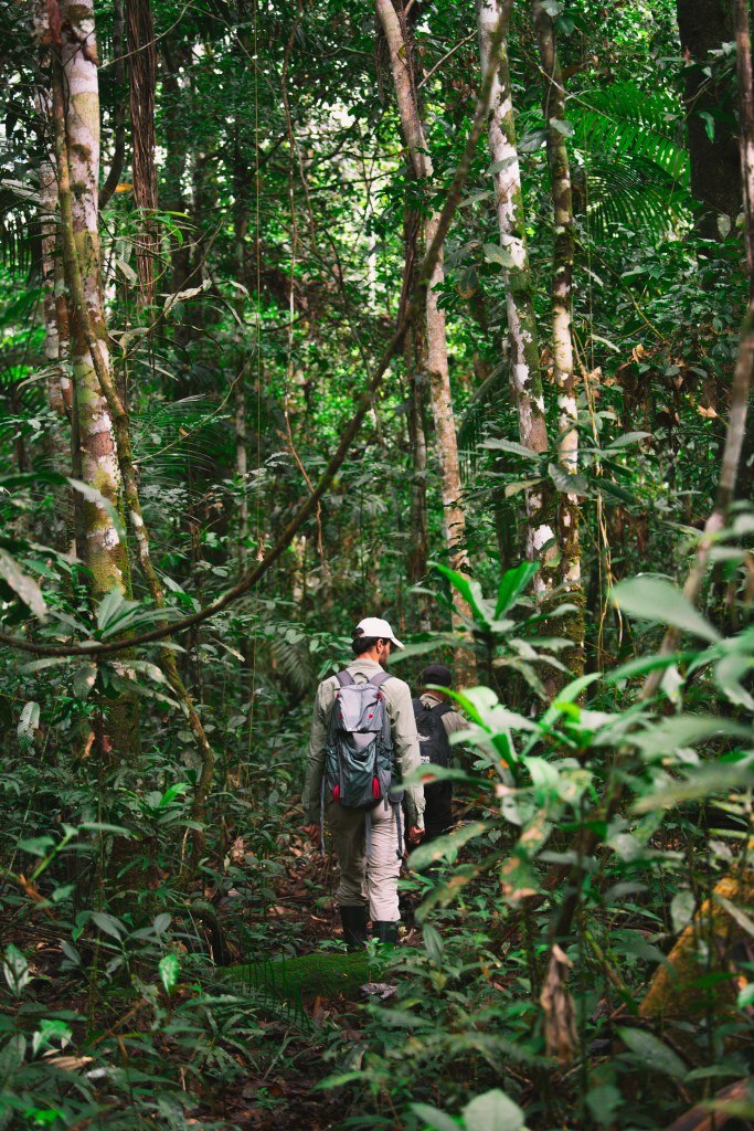 Trek dans la jungle en Amazonie