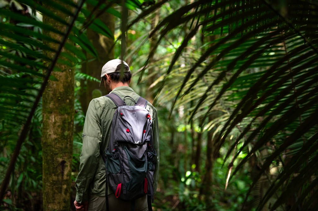 Trek dans la jungle en Amazonie