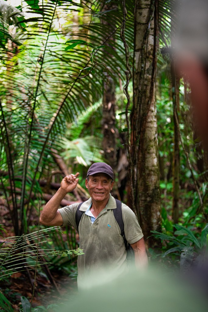 Trek dans la jungle en Amazonie