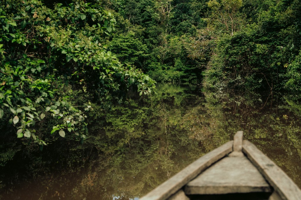 Trek dans la jungle en Amazonie