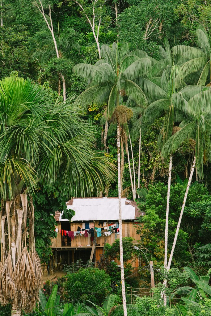 Communauté de El Vergel, Amazonie