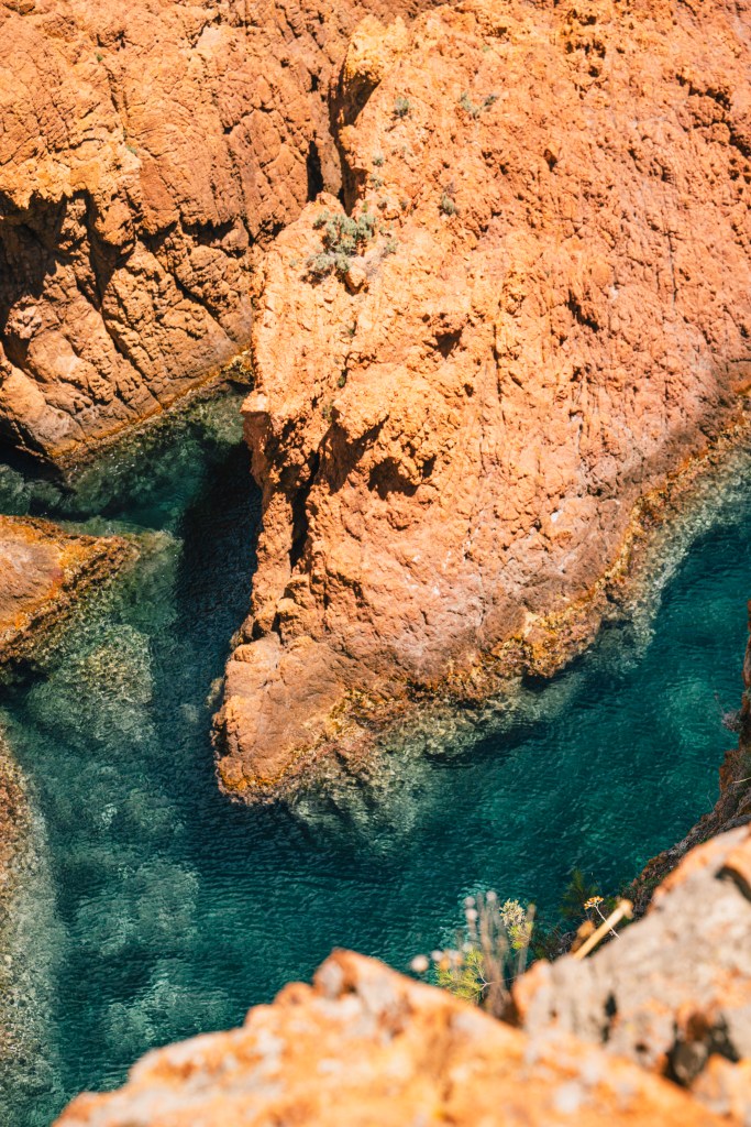 Un projet d'habillage pour le stade de Nice - Allianz Riviera