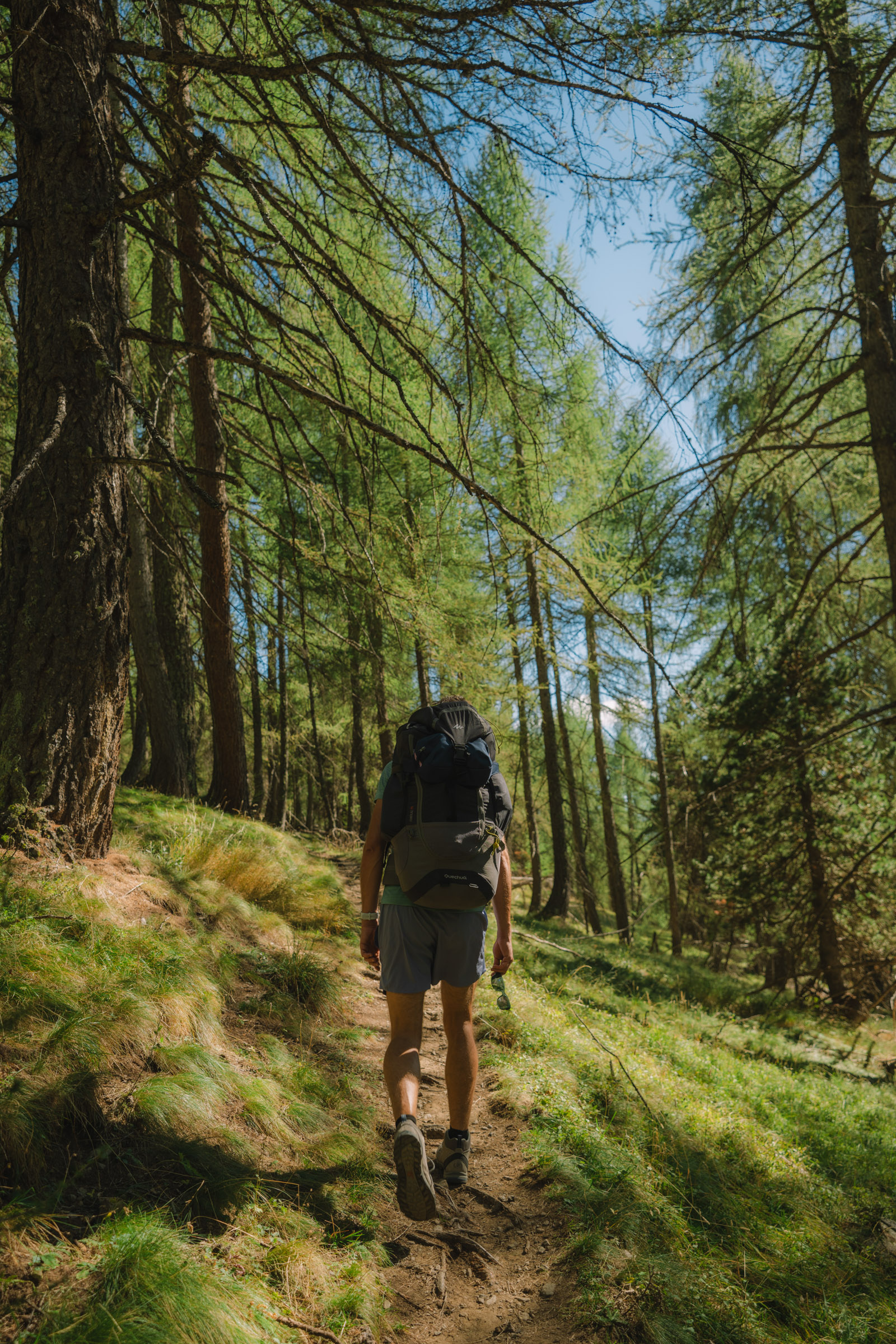 Un randonneur portant un sac à dos marche sur un sentier à travers une forêt verdoyante.